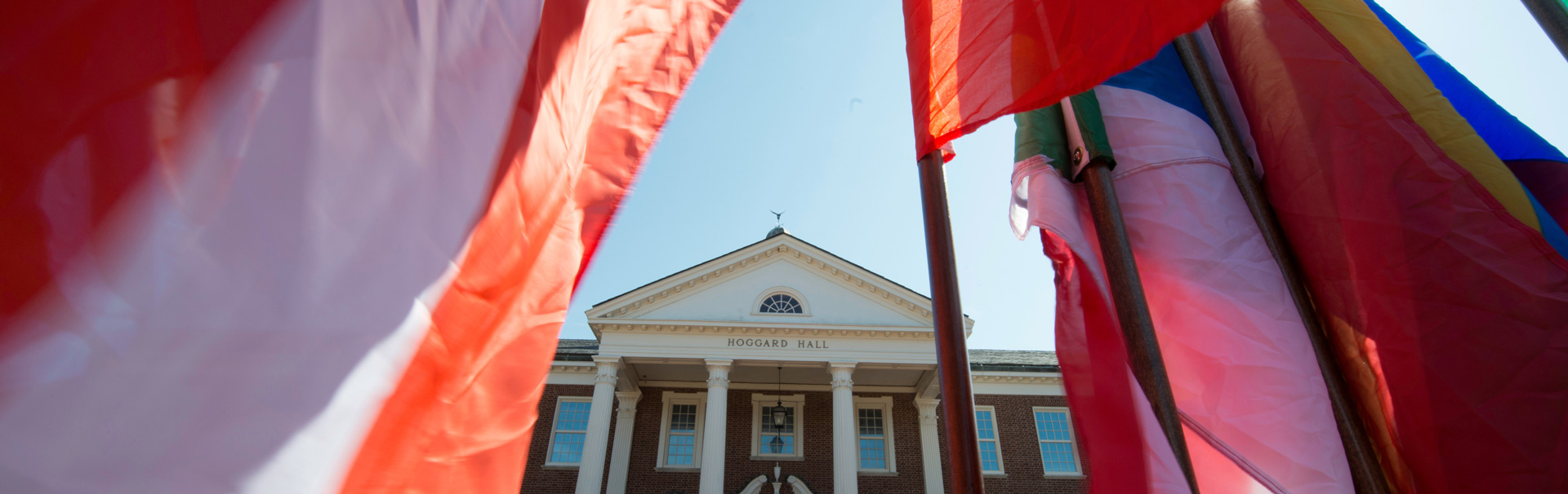 UNCW homecoming flag